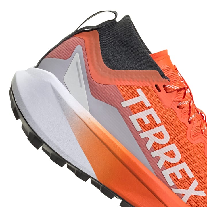 Adidas Terrex Agravic Gtx W Seimor/ftwwht/carbon Adidas Adidas Terrex Agravic Gtx W Seimor/ftwwht/carbon Adidas