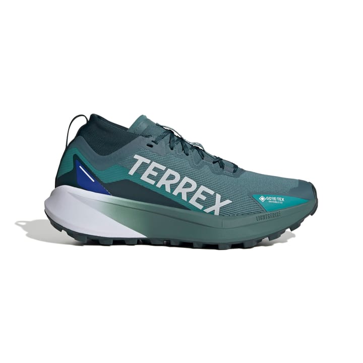 Adidas Terrex Agravic Gtx Gretwo/ftwwht/cblack Adidas