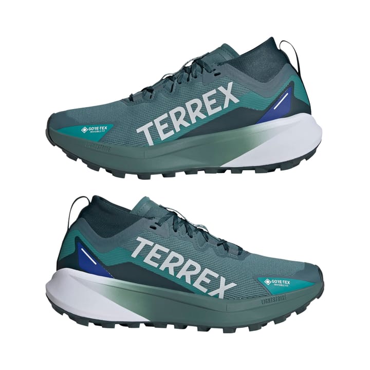 Adidas Terrex Agravic Gtx Gretwo/ftwwht/cblack Adidas