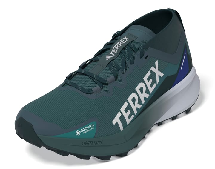 Adidas Terrex Agravic Gtx Gretwo/ftwwht/cblack Adidas