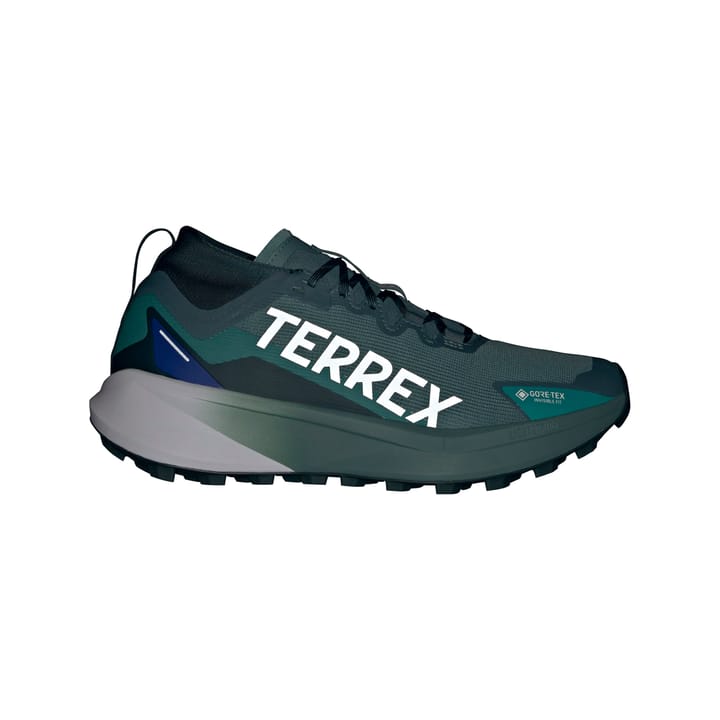 Adidas Terrex Agravic Gtx Gretwo/ftwwht/cblack Adidas