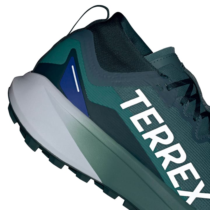 Adidas Terrex Agravic Gtx Gretwo/ftwwht/cblack Adidas