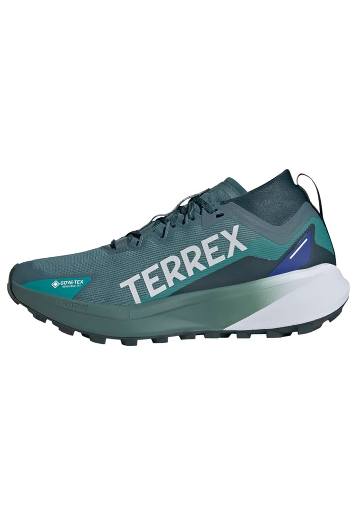 Adidas Terrex Agravic Gtx Gretwo/ftwwht/cblack Adidas