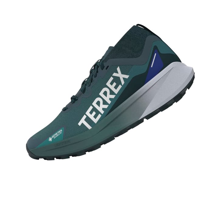 Adidas Terrex Agravic Gtx Gretwo/ftwwht/cblack Adidas