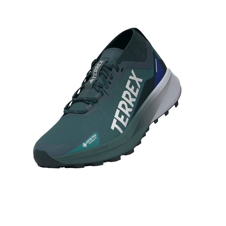 Adidas Terrex Agravic Gtx Gretwo/ftwwht/cblack Adidas