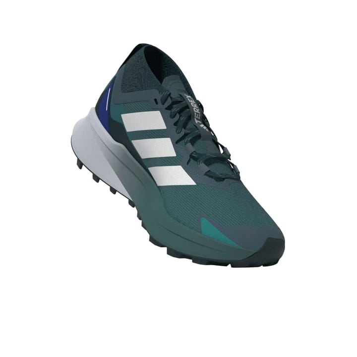 Adidas Terrex Agravic Gtx Gretwo/ftwwht/cblack Adidas