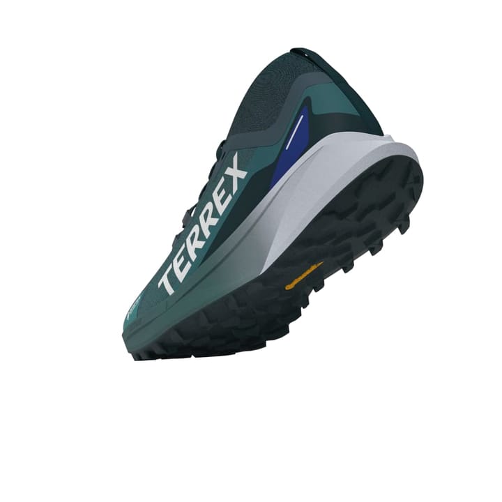 Adidas Terrex Agravic Gtx Gretwo/ftwwht/cblack Adidas