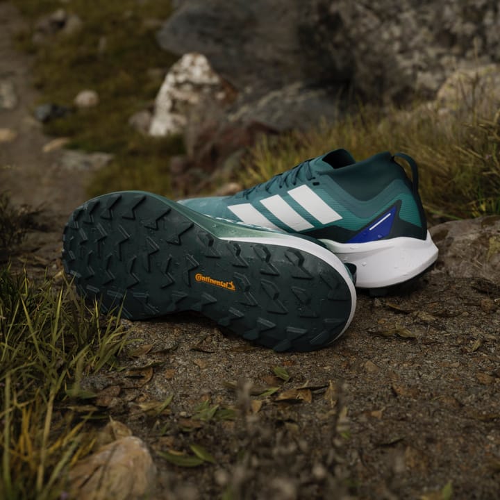 Adidas Terrex Agravic Gtx Gretwo/ftwwht/cblack Adidas