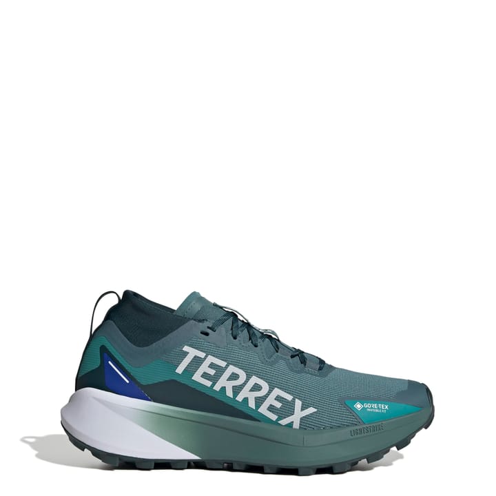 Adidas Terrex Agravic Gtx Gretwo/ftwwht/cblack Adidas