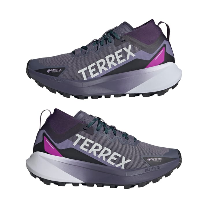 Adidas Terrex Agravic Gtx W Gretwo/ftwwht/cblack Adidas