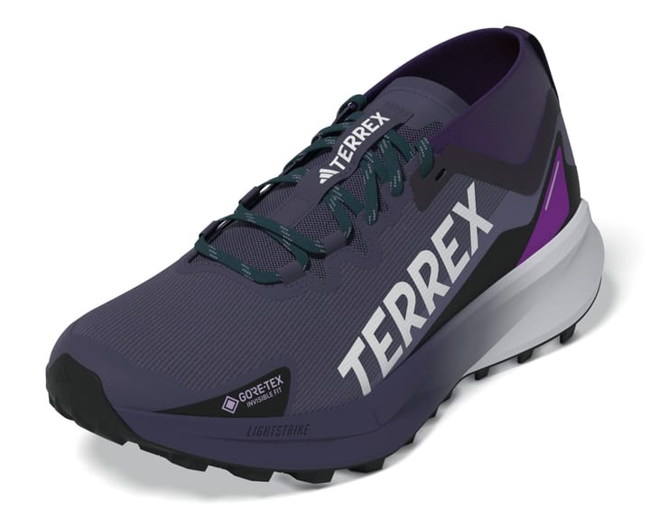 Adidas Terrex Agravic Gtx W Gretwo/ftwwht/cblack Adidas