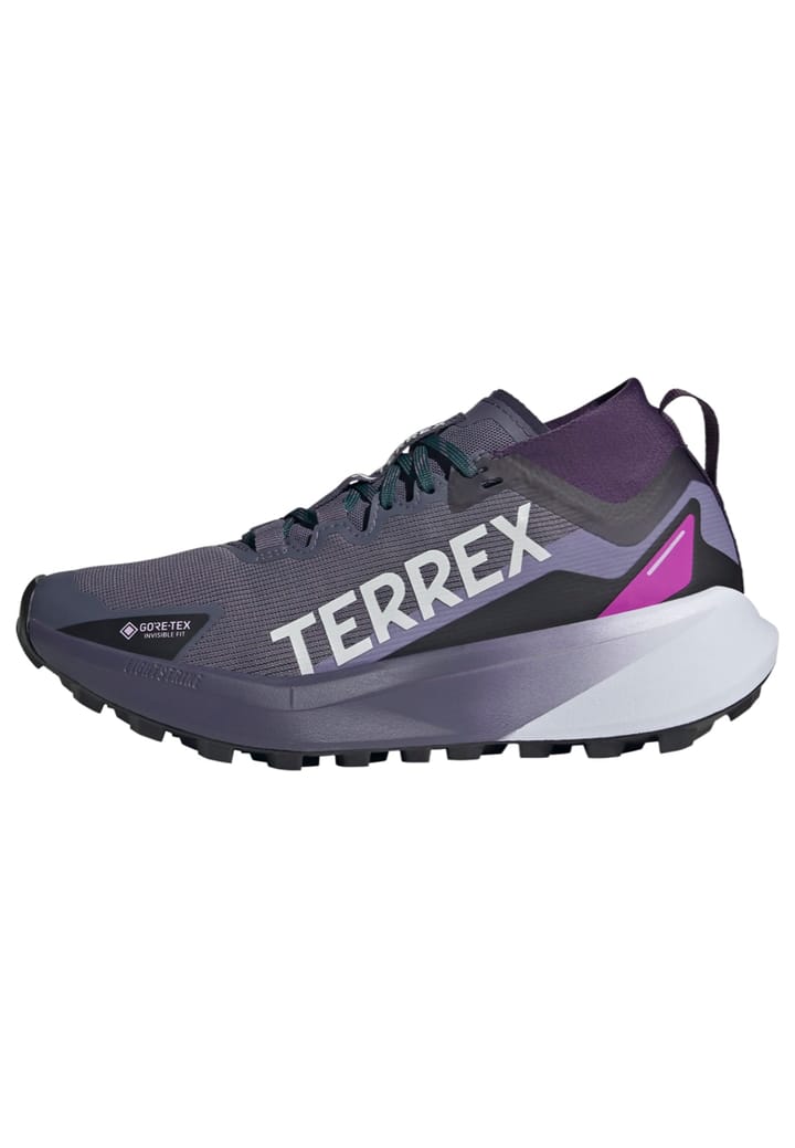 Adidas Terrex Agravic Gtx W Gretwo/ftwwht/cblack Adidas