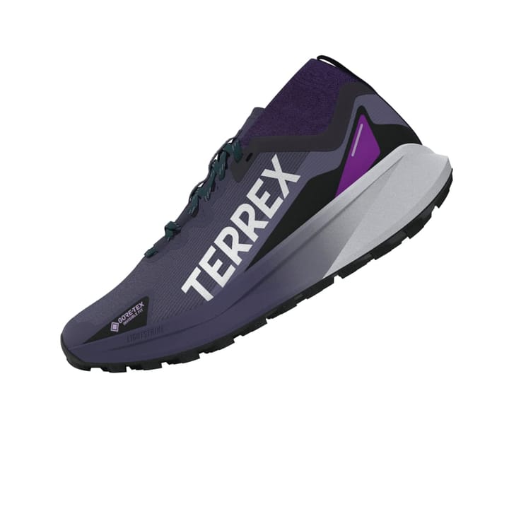 Adidas Terrex Agravic Gtx W Gretwo/ftwwht/cblack Adidas