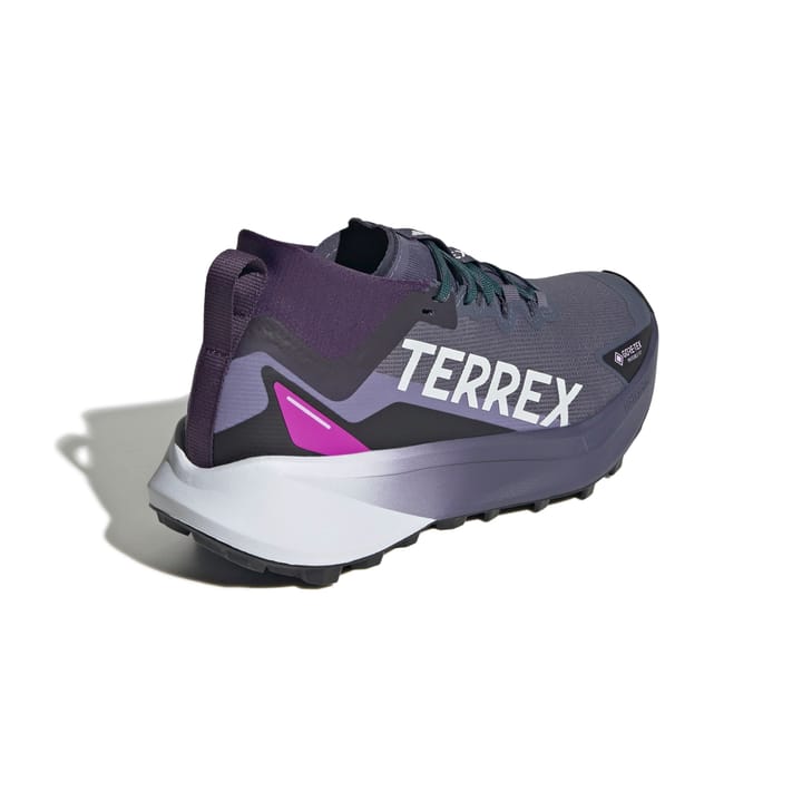 Adidas Terrex Agravic Gtx W Gretwo/ftwwht/cblack Adidas