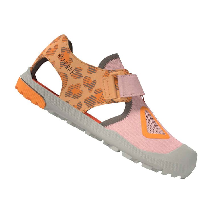 Adidas Kids' Terrex Captain Toey 2.0 Sandals Blupnk/puta/icta Adidas