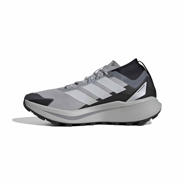 Adidas Terrex Agravic Gtx Gretwo/ftwwht/cblack Adidas