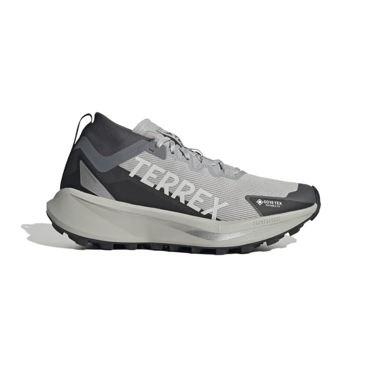 Adidas Terrex Agravic Gtx W Gretwo/ftwwht/cblack Adidas