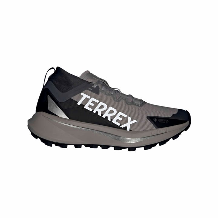 Adidas Terrex Agravic Gtx W Gretwo/ftwwht/cblack Adidas