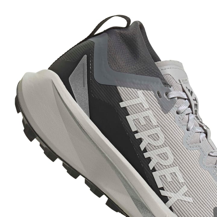 Adidas Terrex Agravic Gtx W Gretwo/ftwwht/cblack Adidas