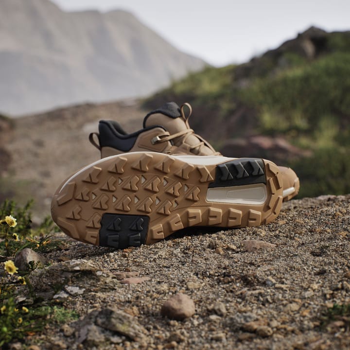 Adidas Terrex Anylander Climawarm + Cardbo/cardbo/cblack Adidas