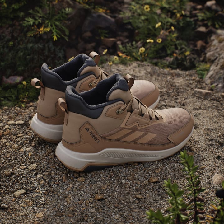 Adidas Terrex Anylander Climawarm + Cardbo/cardbo/cblack Adidas