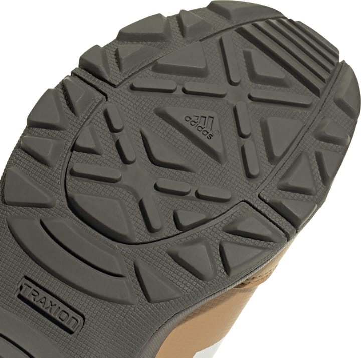 Adidas Kid's Terrex Skychaser Mid Gore-Tex Cf Pretea/msilve/cardbo Adidas
