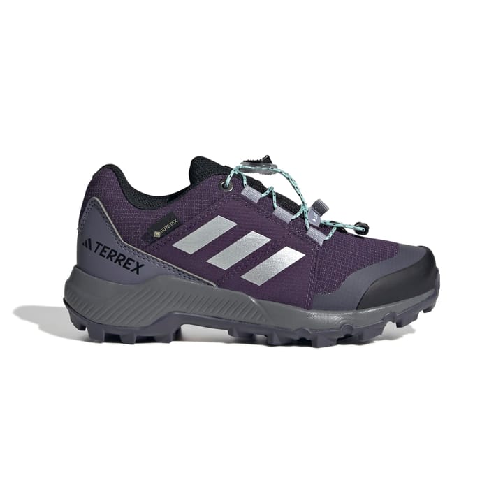 Adidas Terrex Gtx K Aurplu/silvmt/seflaq Adidas