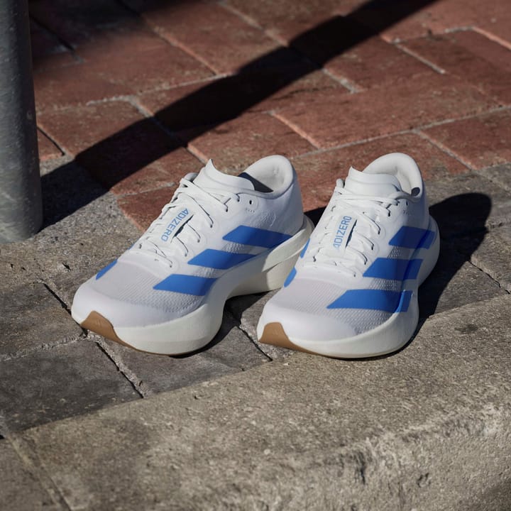 Adidas Women's Adizero Evo SL  Cloud White/Blue Fusion/Off White Adidas