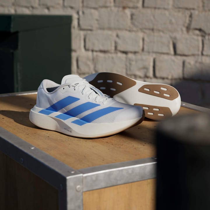 Adidas Women's Adizero Evo SL  Cloud White/Blue Fusion/Off White Adidas