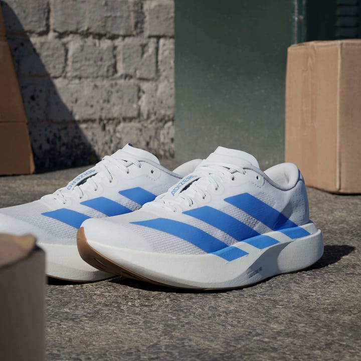 Adidas Women's Adizero Evo SL  Cloud White/Blue Fusion/Off White Adidas