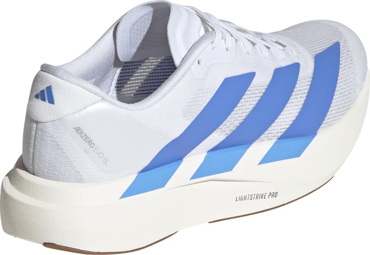 Adidas Women's Adizero Evo SL  Cloud White/Blue Fusion/Off White Adidas