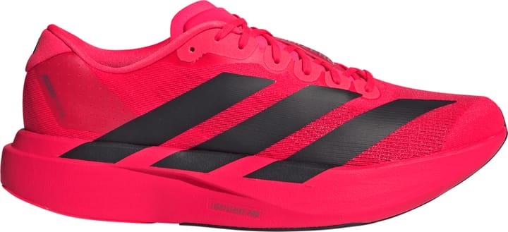 Adidas Men's Adizero Evo SL Lucid Red / Core Black / Lucrid Red Adidas