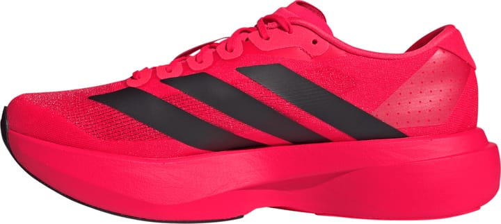 Adidas Men's Adizero Evo SL Lucid Red / Core Black / Lucrid Red Adidas Adidas Men's Adizero Evo SL Lucid Red / Core Black / Lucrid Red Adidas