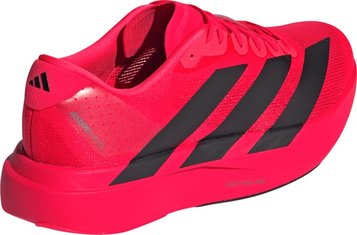 Adidas Men's Adizero Evo SL Lucid Red / Core Black / Lucrid Red Adidas Adidas Men's Adizero Evo SL Lucid Red / Core Black / Lucrid Red Adidas