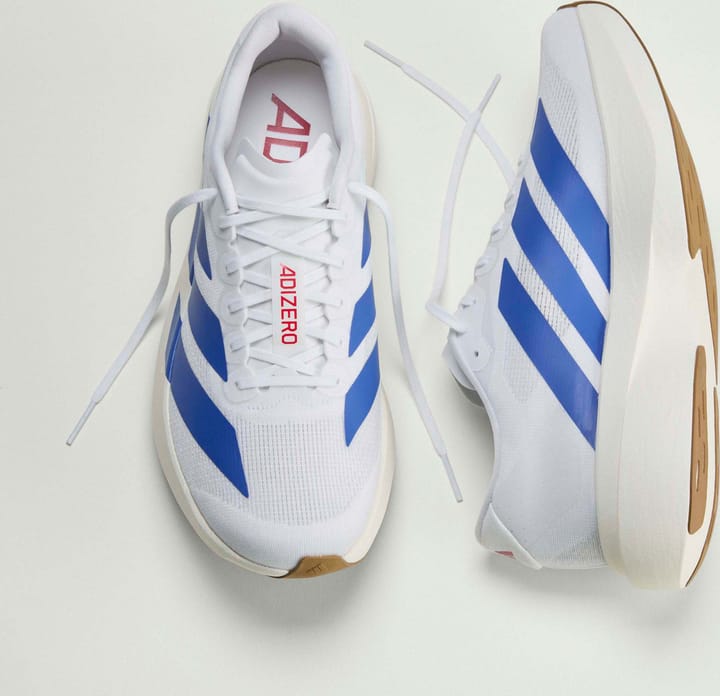 Adidas Men's Adizero Evo SL Cloud White / Royal Blue / Pure Ruby Adidas Adidas Men's Adizero Evo SL Cloud White / Royal Blue / Pure Ruby Adidas