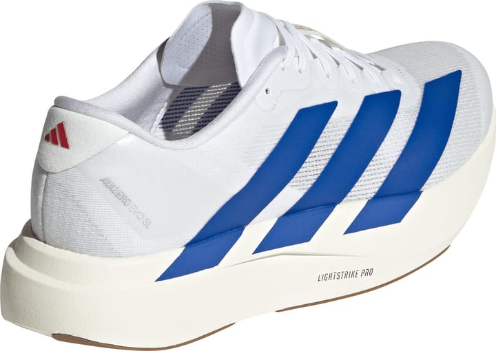 Adidas Men's Adizero Evo SL Cloud White / Royal Blue / Pure Ruby Adidas Adidas Men's Adizero Evo SL Cloud White / Royal Blue / Pure Ruby Adidas