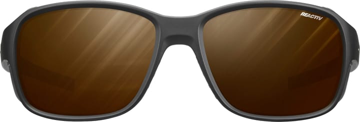 Julbo Montebianco 2 Reactiv 2-4 Polarized Matt Black/Gray Julbo