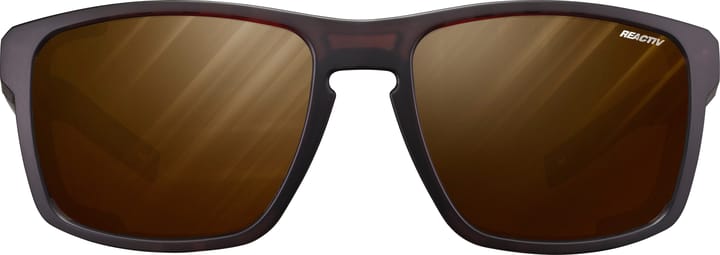 Julbo Shield Reactiv 2-4 Polarized Translucent Brown/Black Julbo