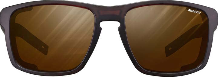 Julbo Shield Reactiv 2-4 Polarized Translucent Brown/Black Julbo