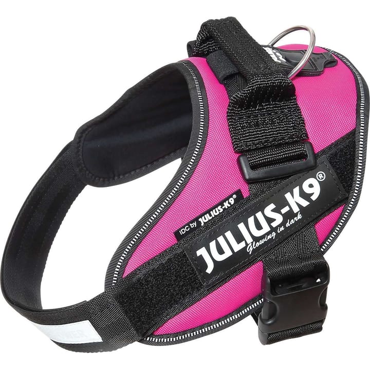 Julius-K9 Idc Harness Size 4 Dark Pink Julius-K9