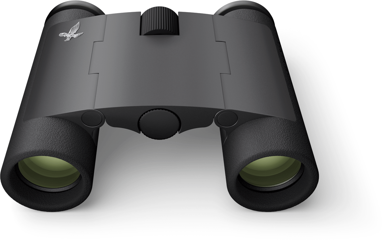 Swarovski CL Curio 7x21 Black