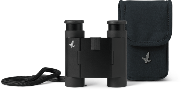 Swarovski CL Curio 7x21 Black Swarovski