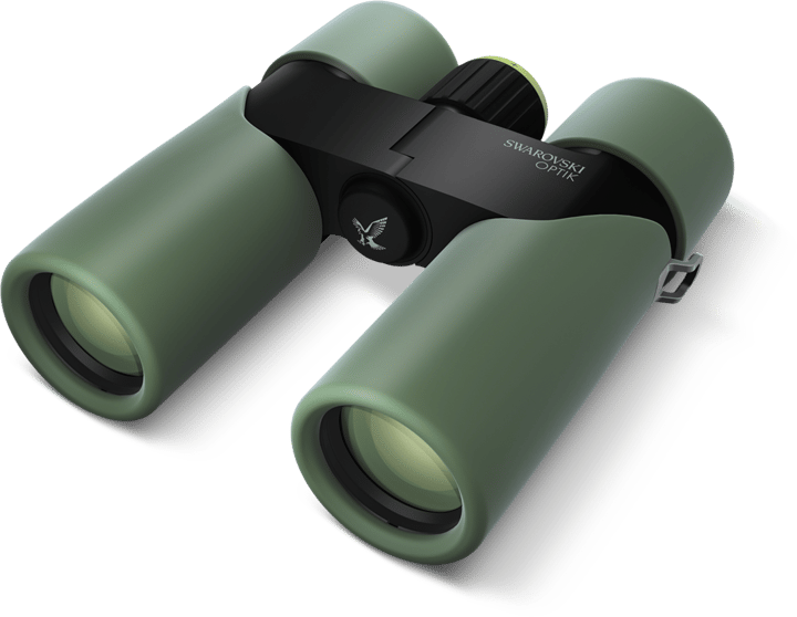 Swarovski CL Companion 10x30 Mountain Green Swarovski
