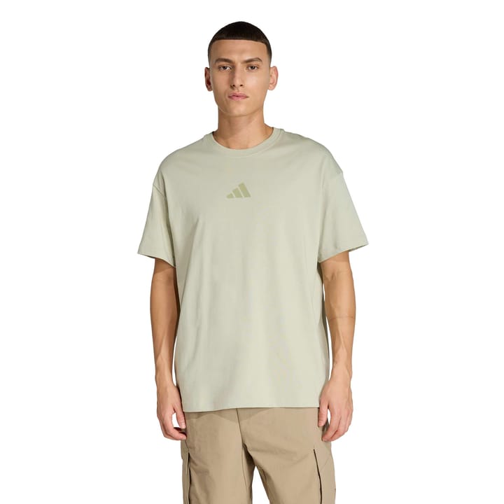Adidas Men's Terrex Multi Tee Meadow Pack Halo green Adidas