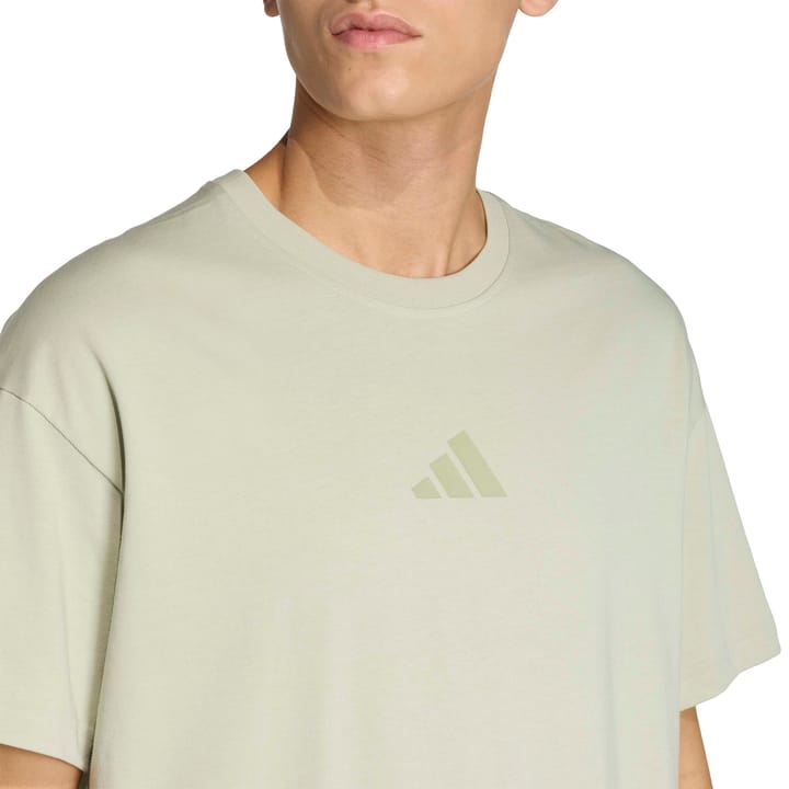 Adidas Men's Terrex Multi Tee Meadow Pack Halo green Adidas