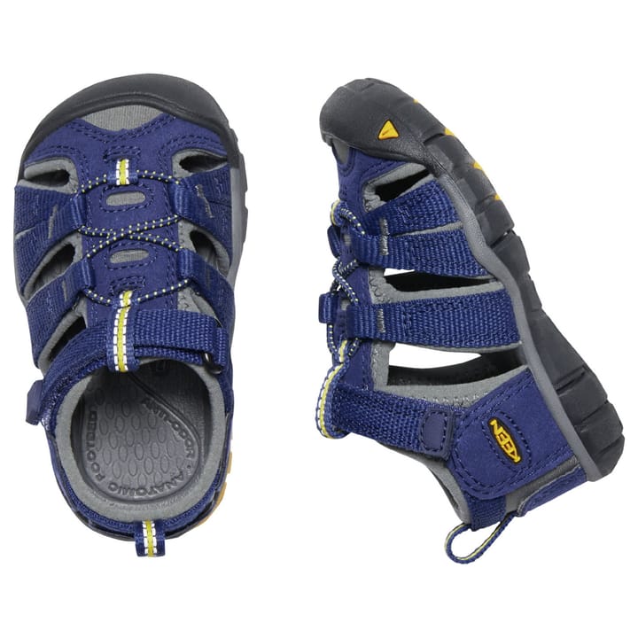 Toddlers' Seacamp II CNX Blue Depths/Gargoyle Keen