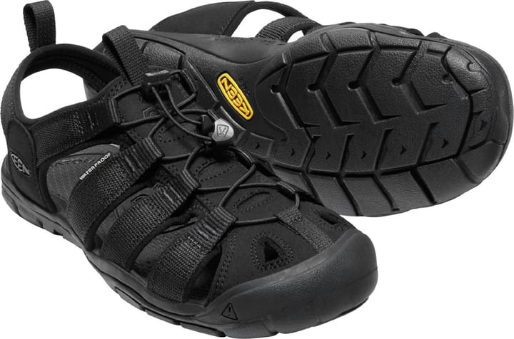 Clearwater cnx 2025 m