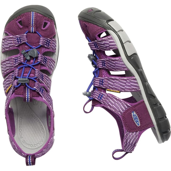 Women's Clearwater CNX Grape Wine/Grap Keen