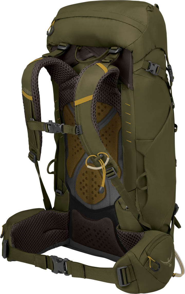 Osprey Men's Kestrel 38 Moss Green Osprey