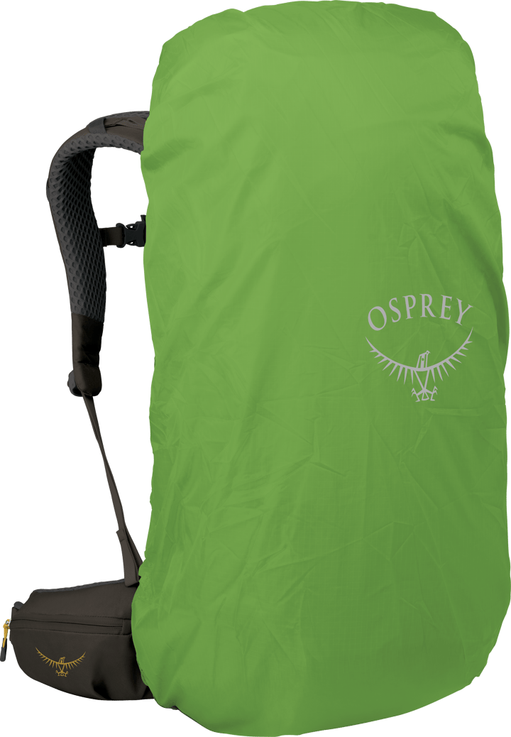 Osprey Men's Kestrel LT 45 Moss Green Osprey